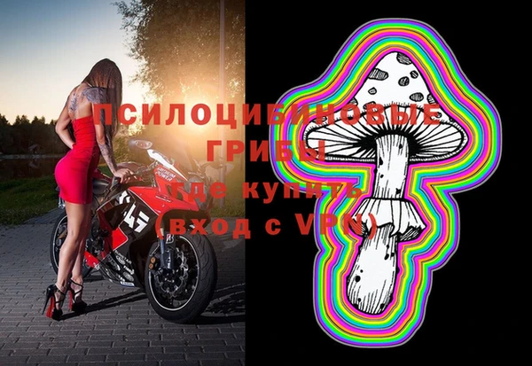 mix Богородицк